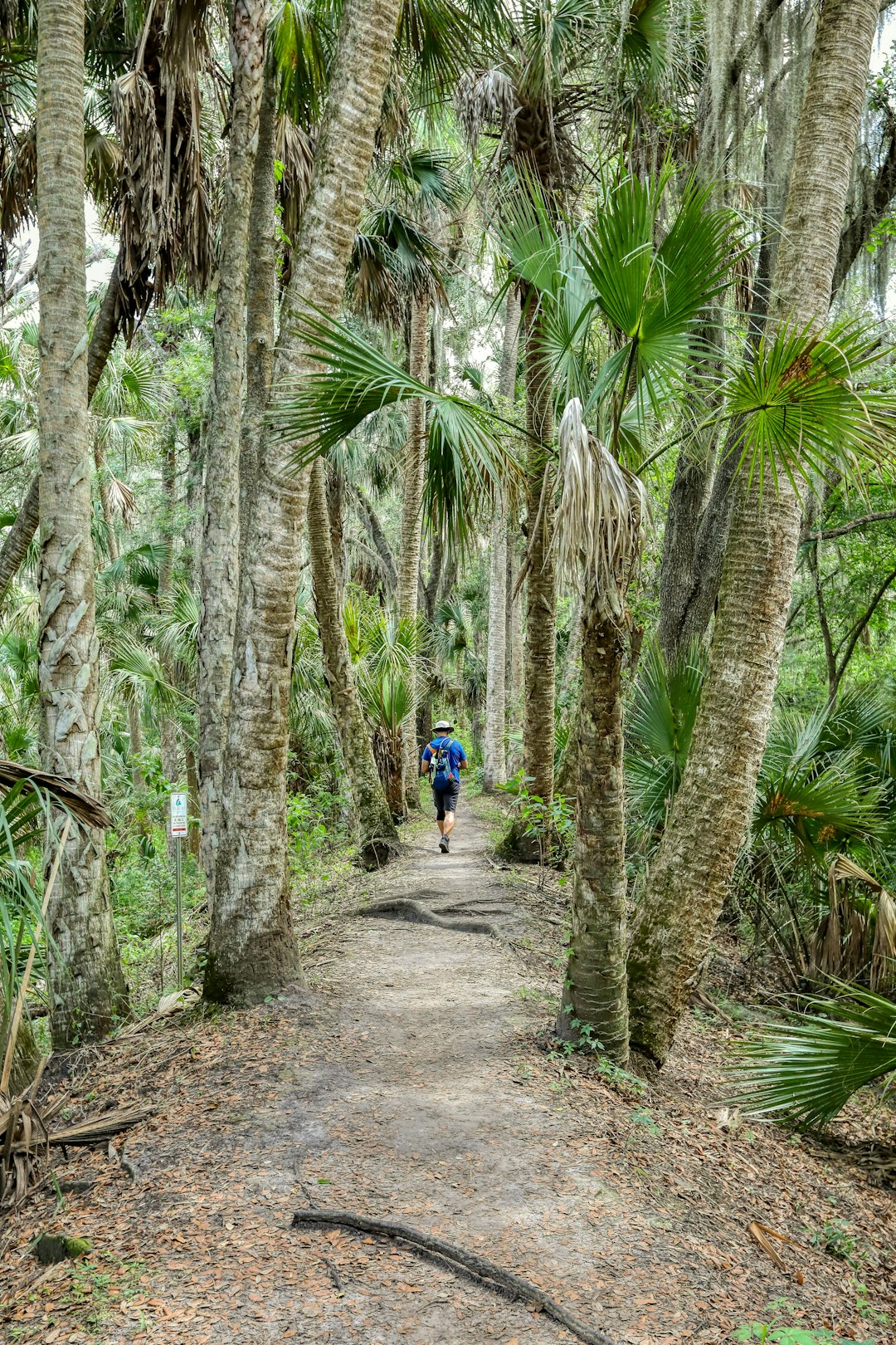Fern Park