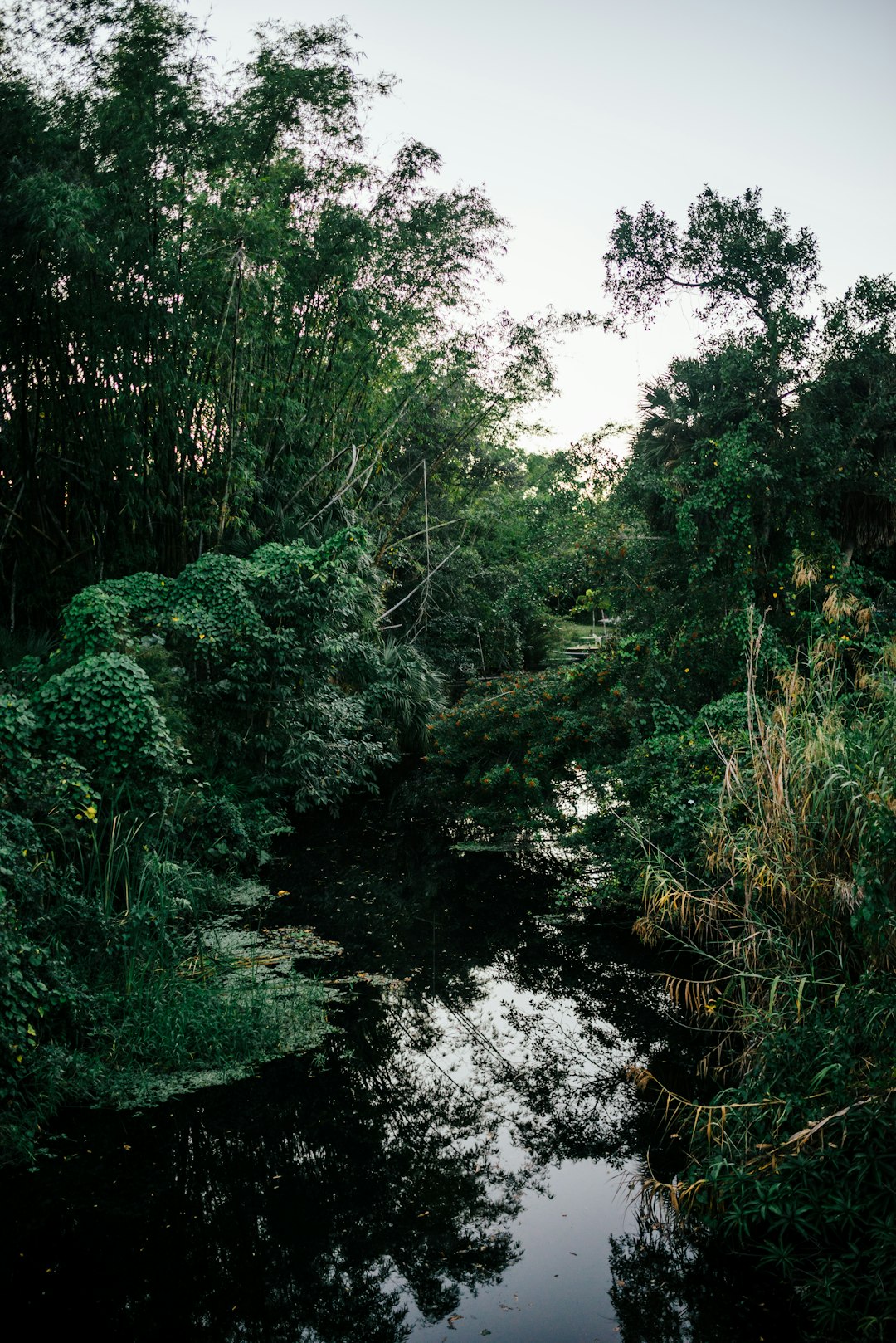 Bonita Springs