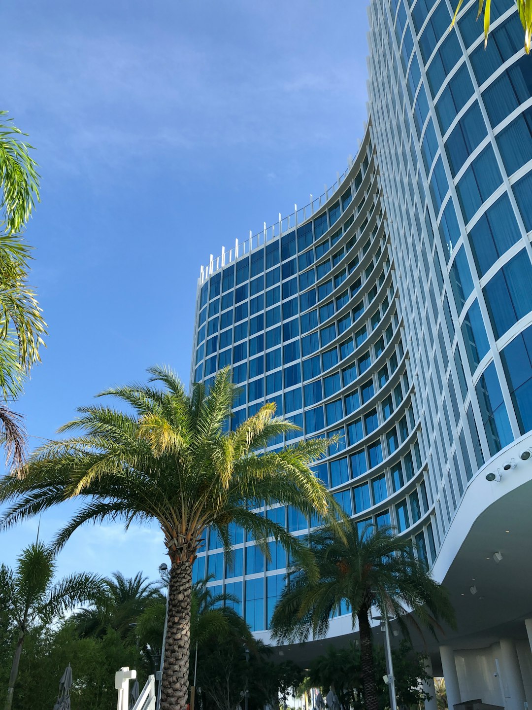 Aventura