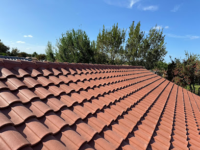 Buona Vista Roofing work photo 1