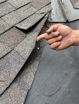 Mighty Dog Roofing of Southeast Tampa work photo 1